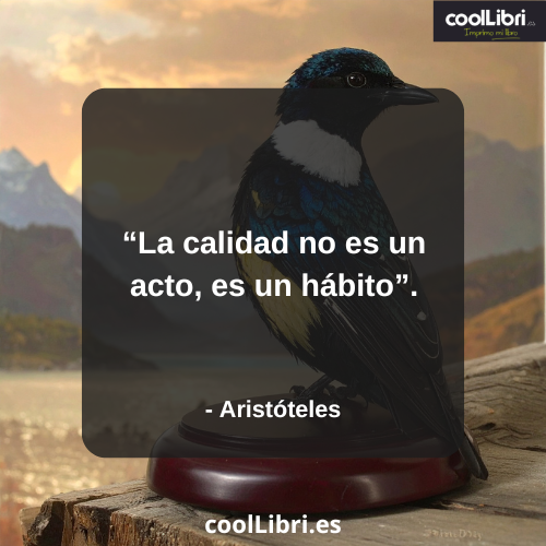 La calidad no es un acto, es un hábito - coollibri.es